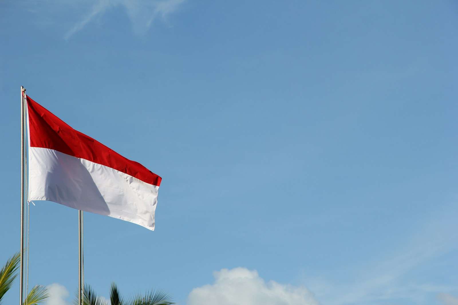 Indonesia’s Growth: A Risk or Reward for India?